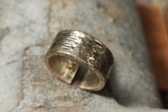 2026-01-27-13-21-39-994